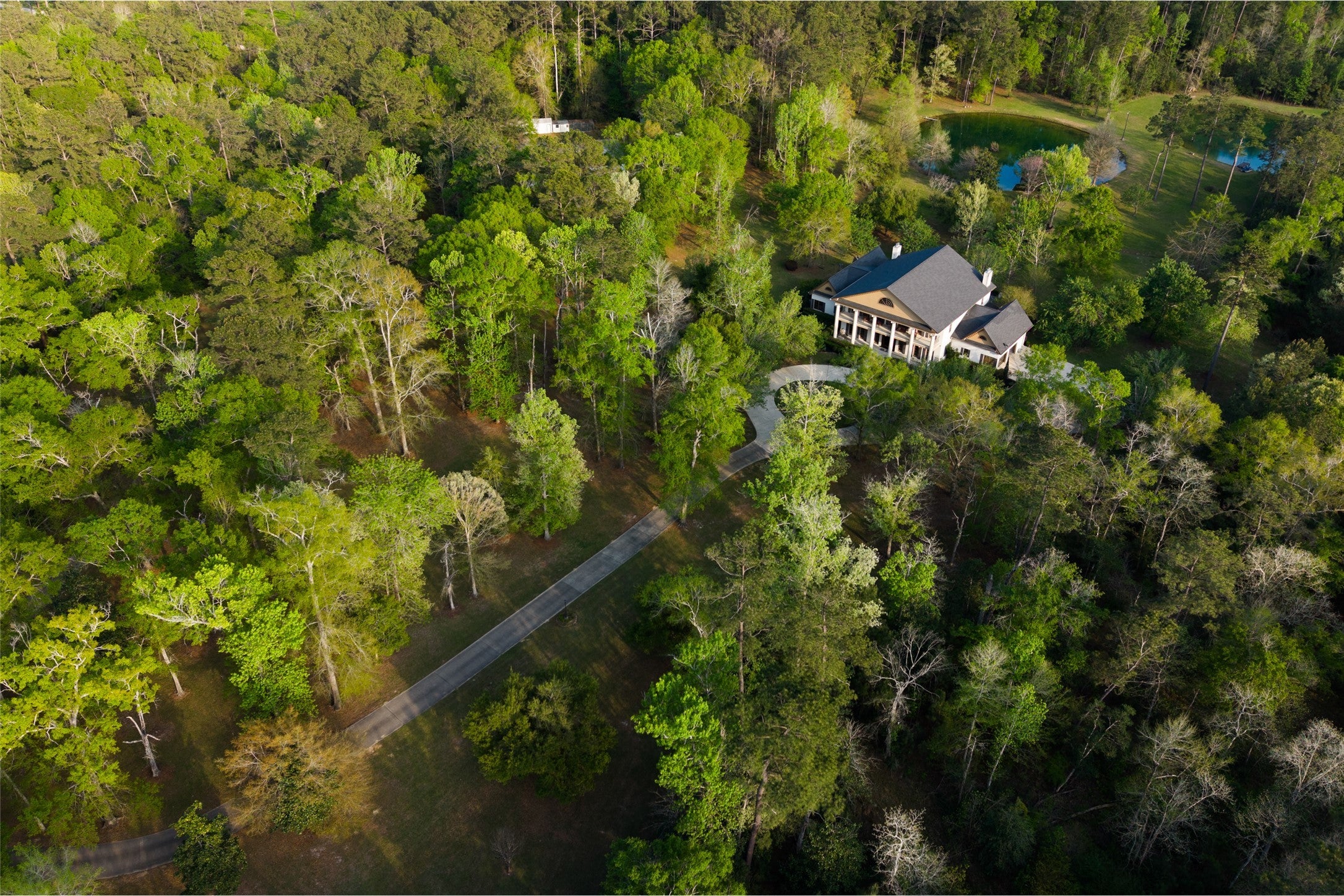 Photo of Listing #1375999