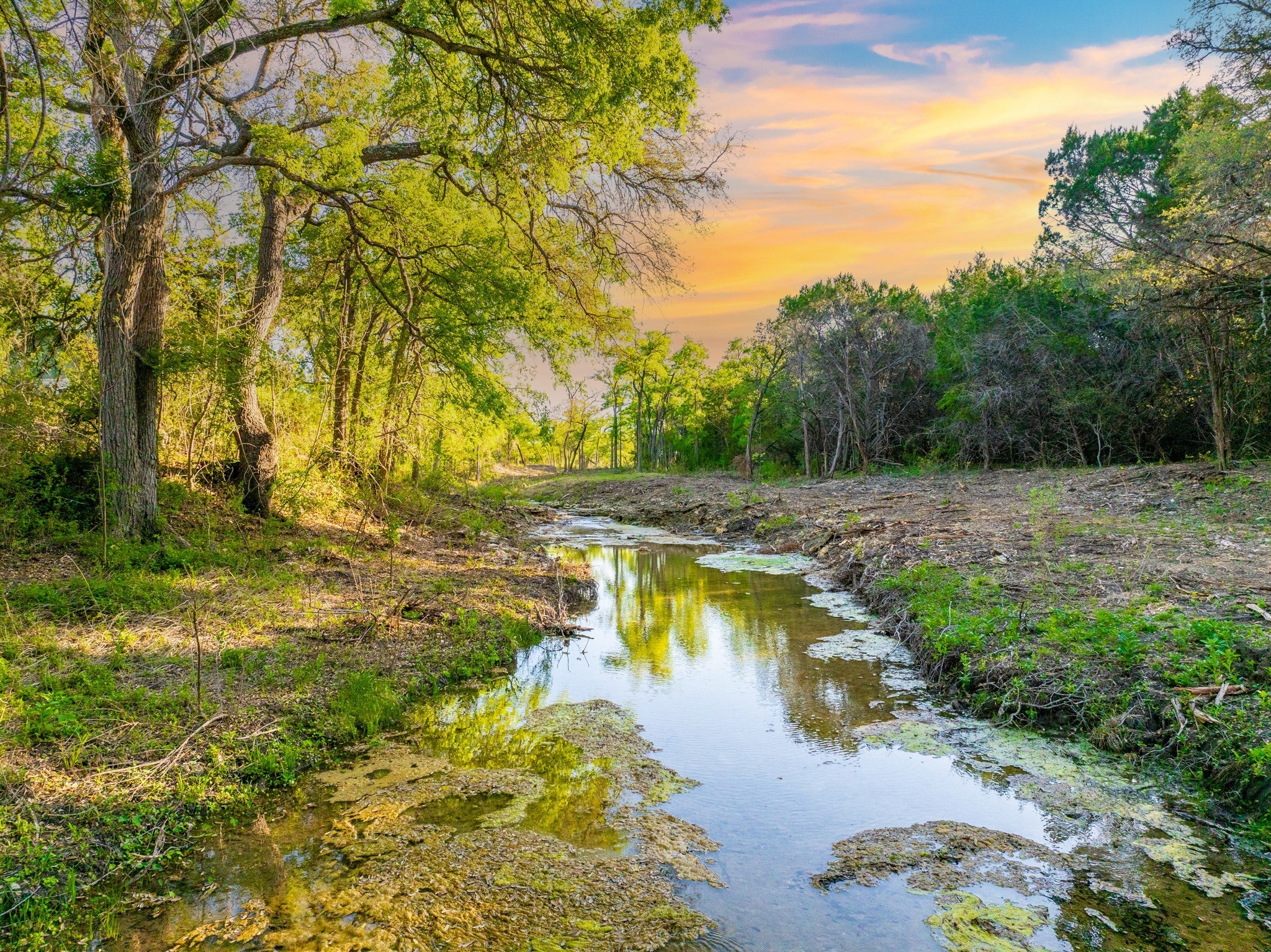 Photo of Listing #2335249