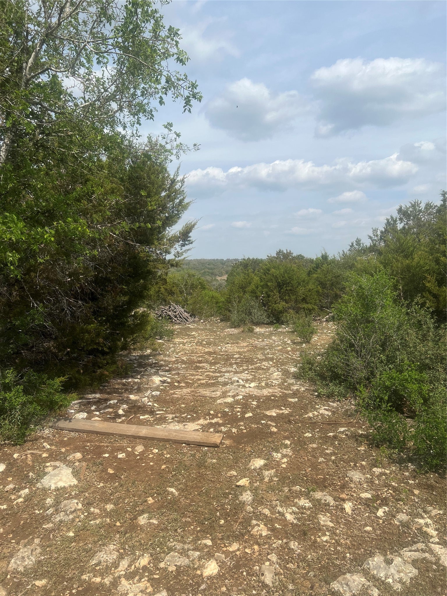 Photo of Listing #8878727