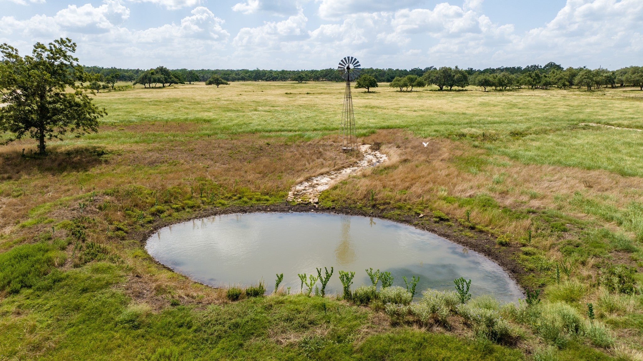 Photo of Listing #6518142