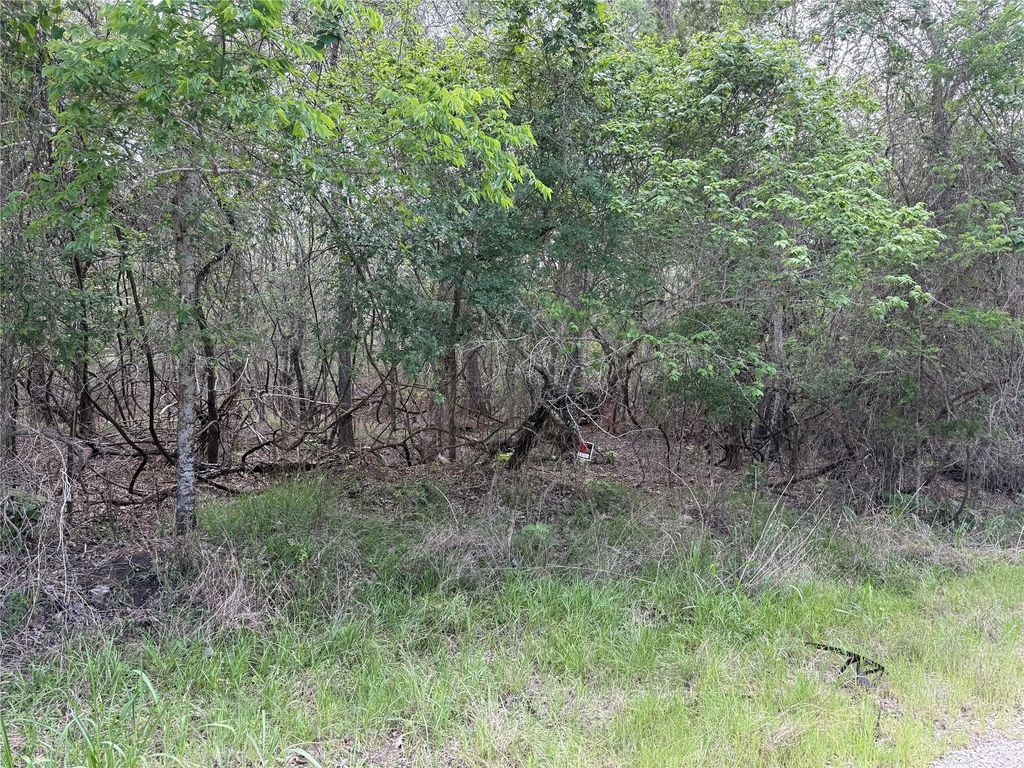 305 Nene Lane, Bastrop