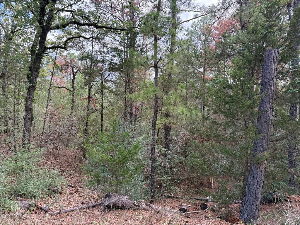 125 Lamaloa Lane, Bastrop