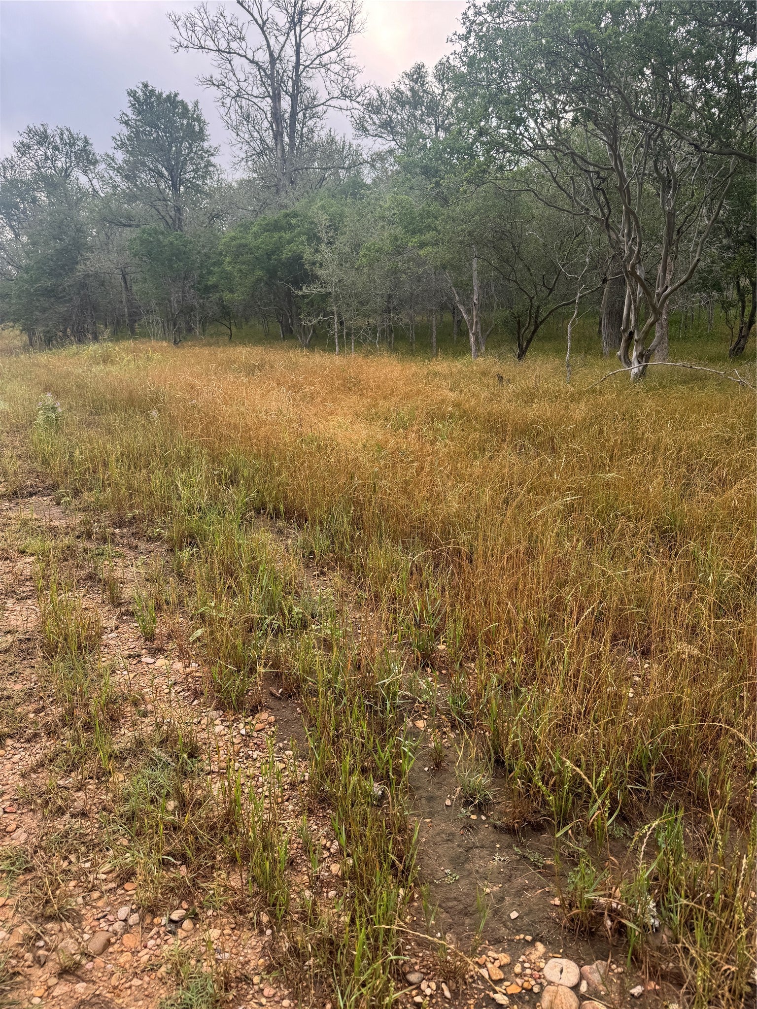 Photo of Listing #2129894