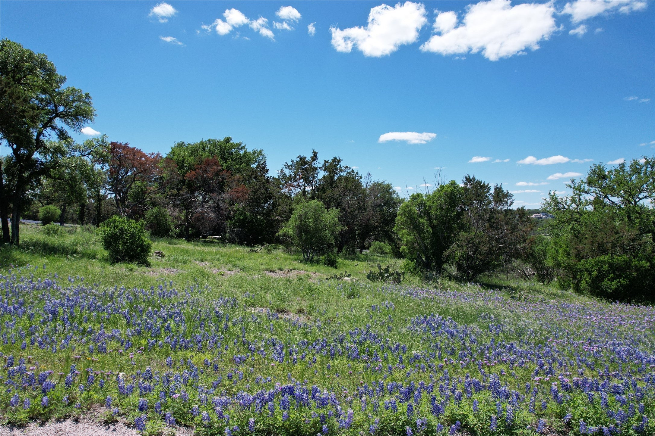 Photo of Listing #2240103