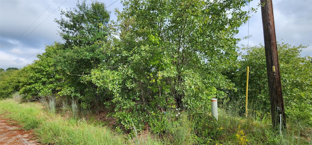 Tbd Homonu (lot 105) Court, Bastrop