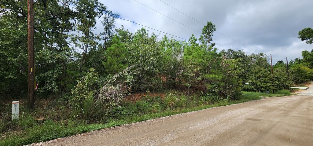 Tbd Makaha Drive, Bastrop