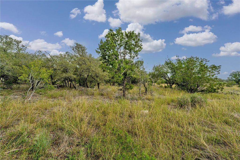 104 Rocky Summit Court, Spicewood