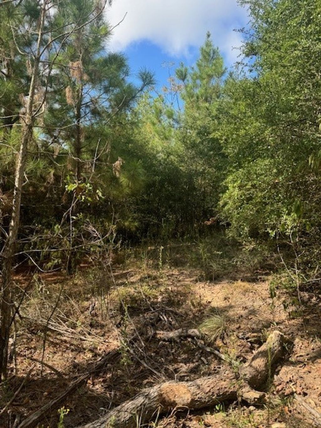 Lot 1339 Tahitian Drive, Bastrop