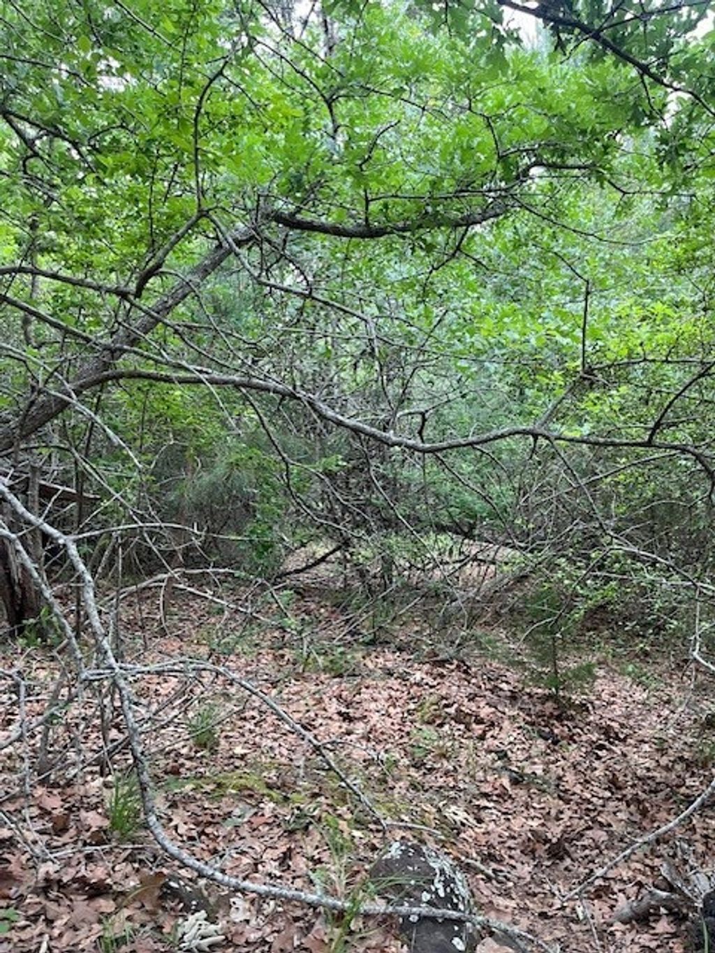 Lot 1603 Ulupau Circle, Bastrop