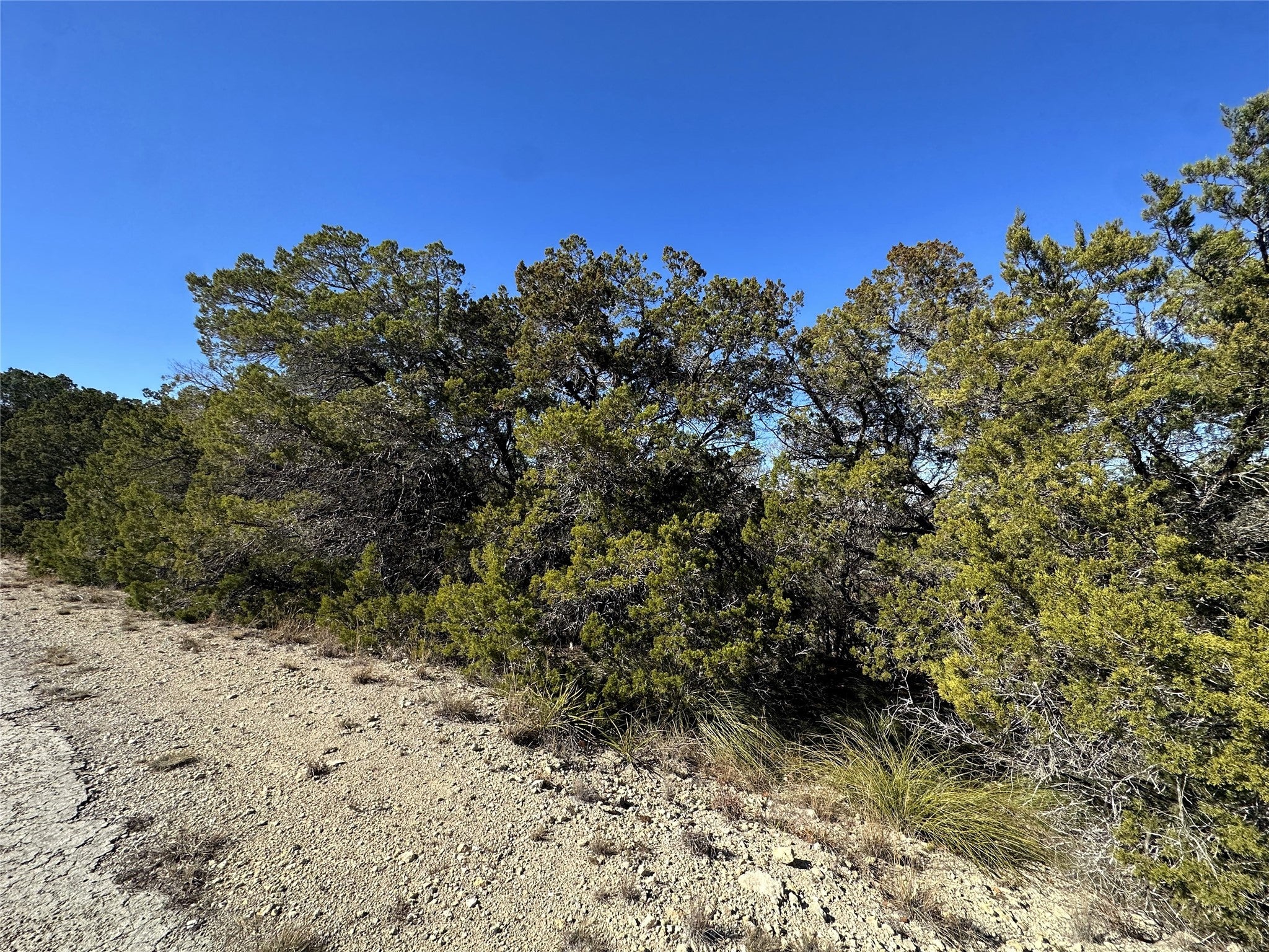 Photo of Listing #3839937