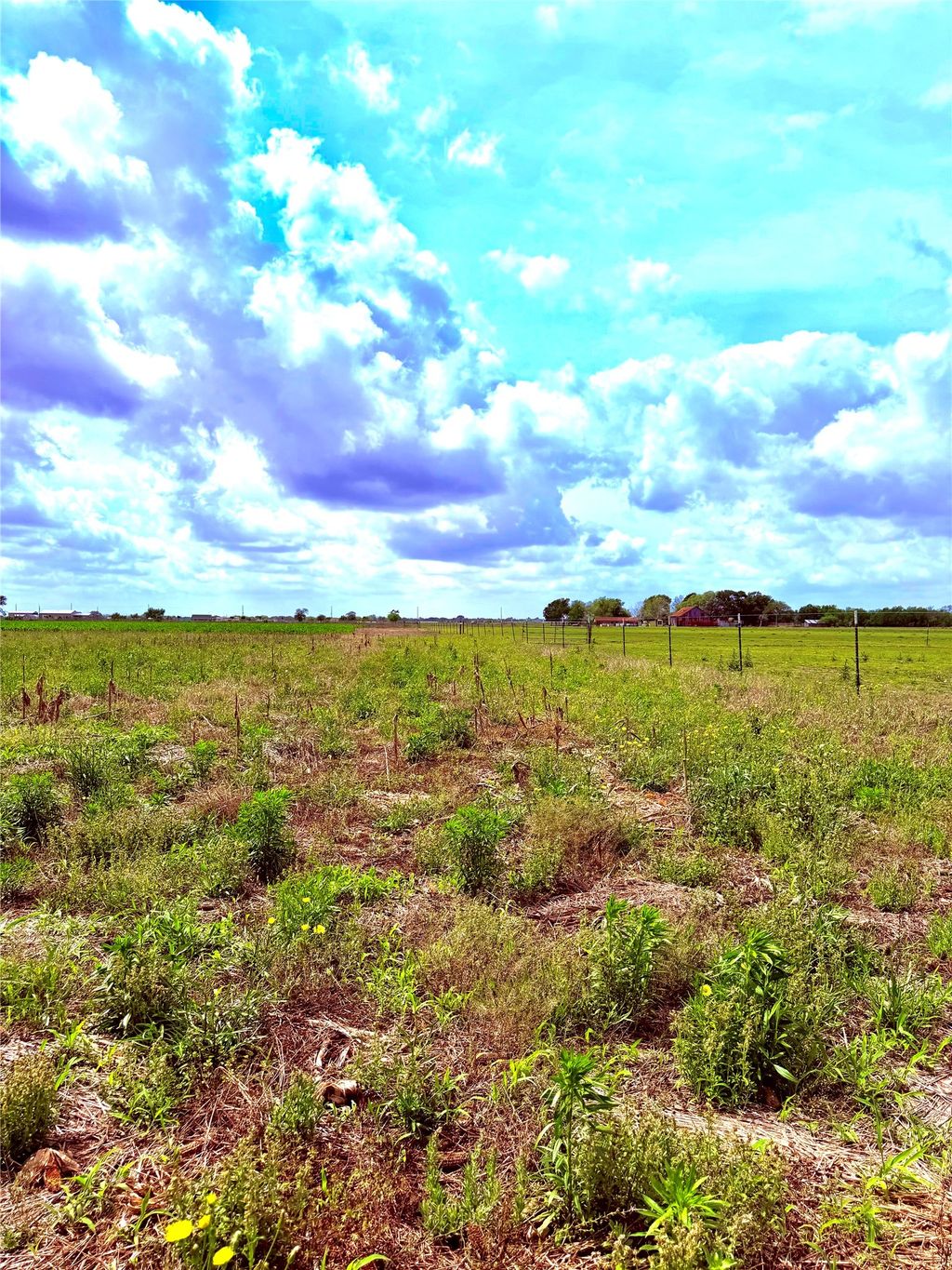 4421 Polak Rd Road, Orchard