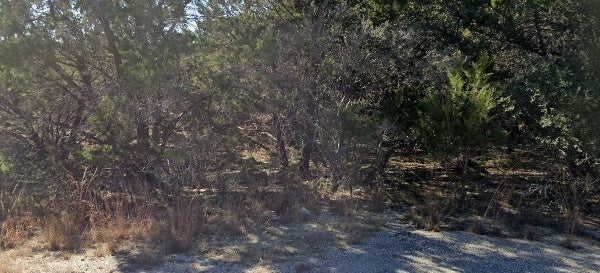 Photo of Listing #6164915