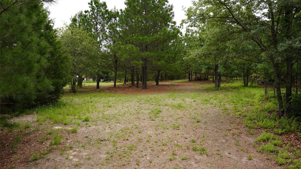 Tbd Buckhorn Drive, Bastrop