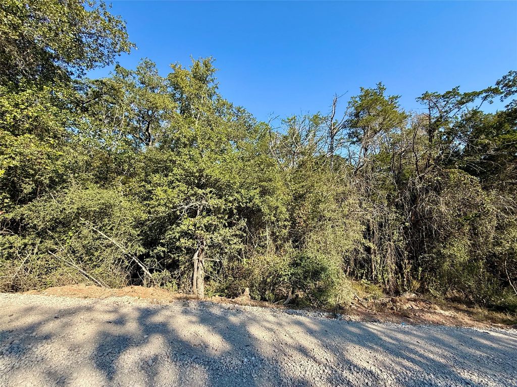 Tbd Lot 1233 Hanauma Drive, Bastrop