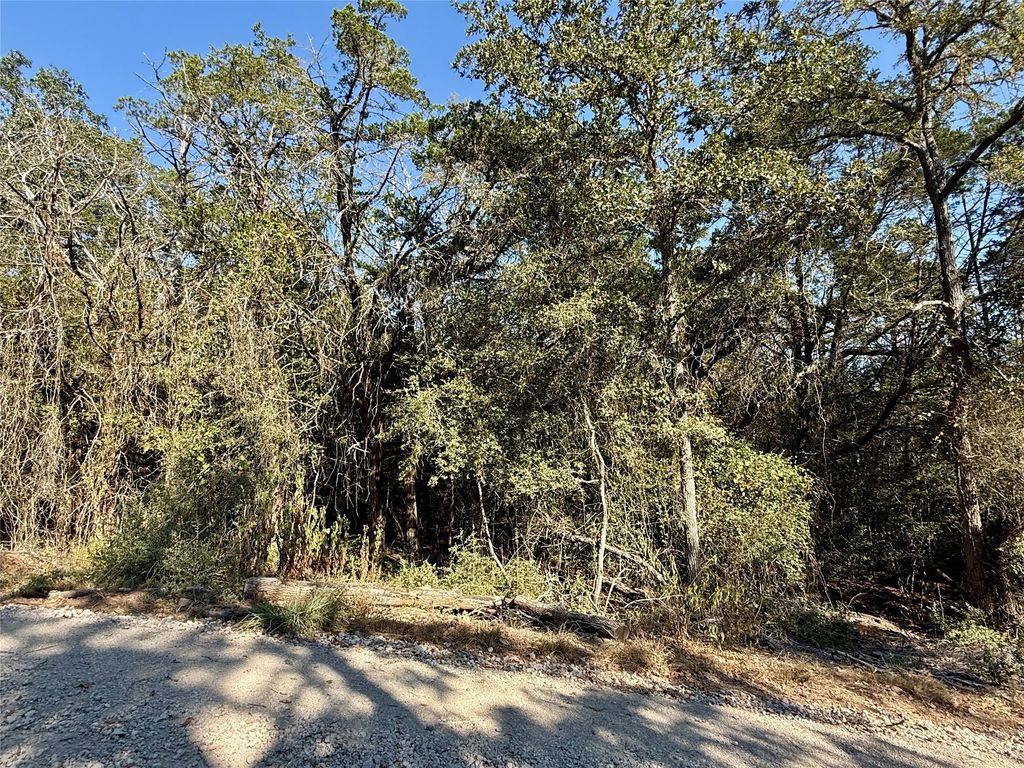 Tbd Lot 1232 Hanauma Drive, Bastrop