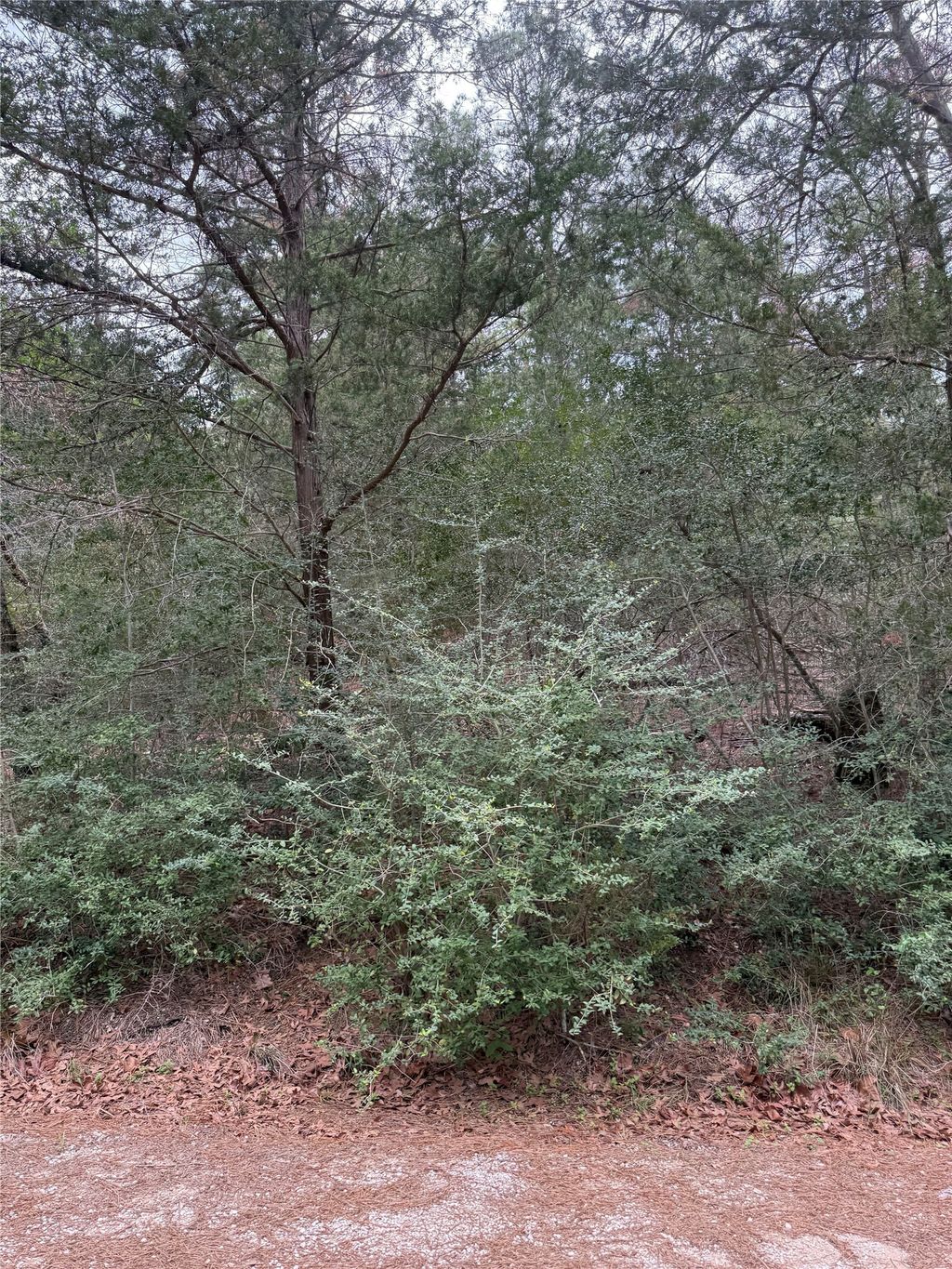 Lot 1428 Keeau Court, Bastrop