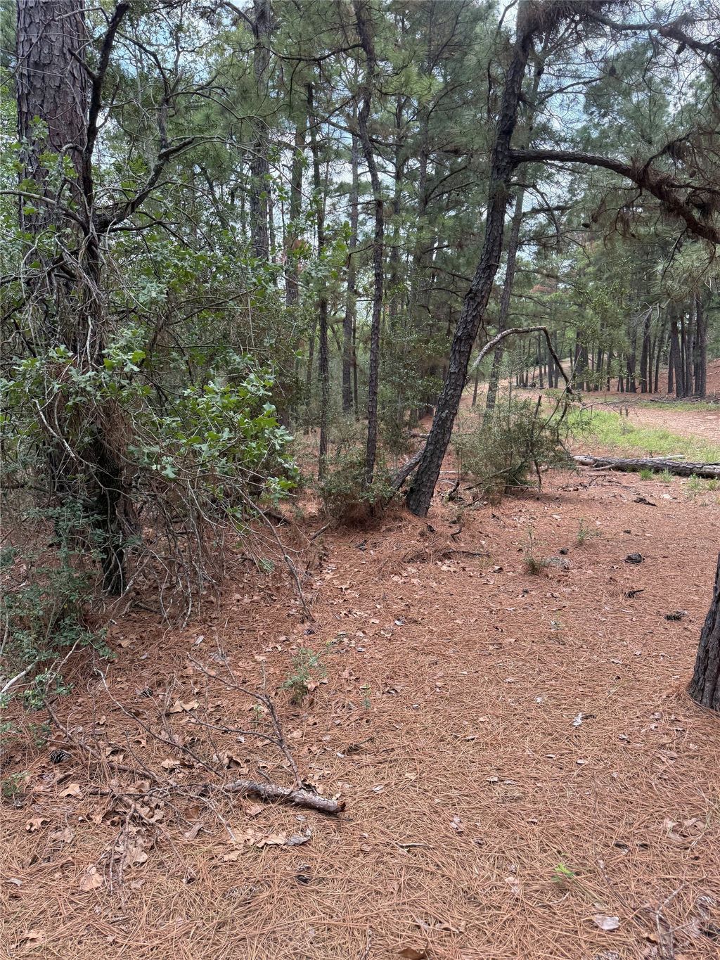 Lot 35 Tanglewood Drive, Bastrop