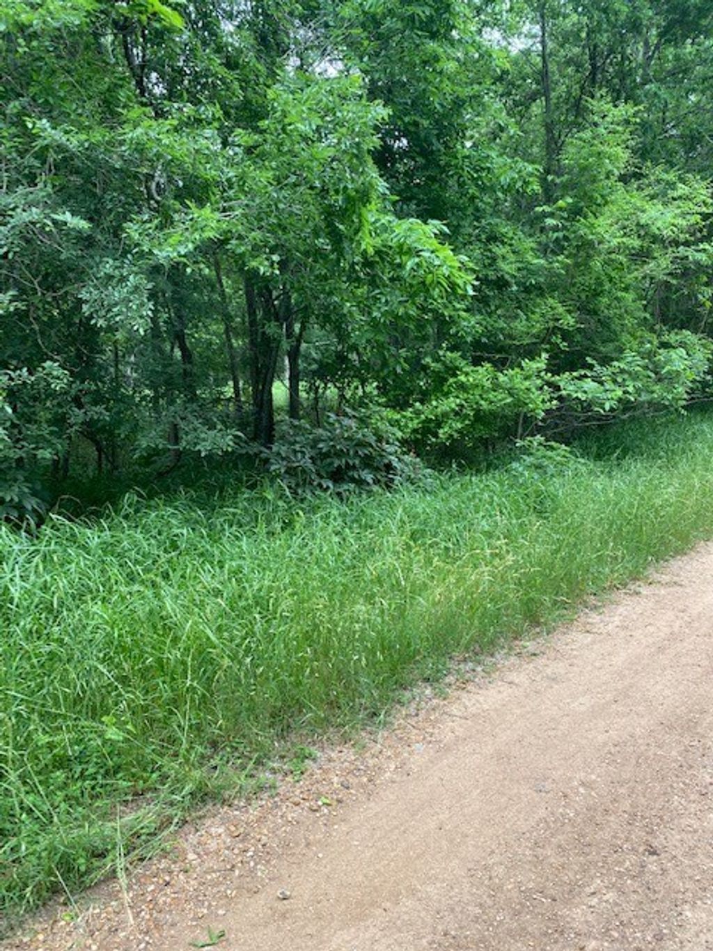 Lot 812 Kaukonahua Lane, Bastrop