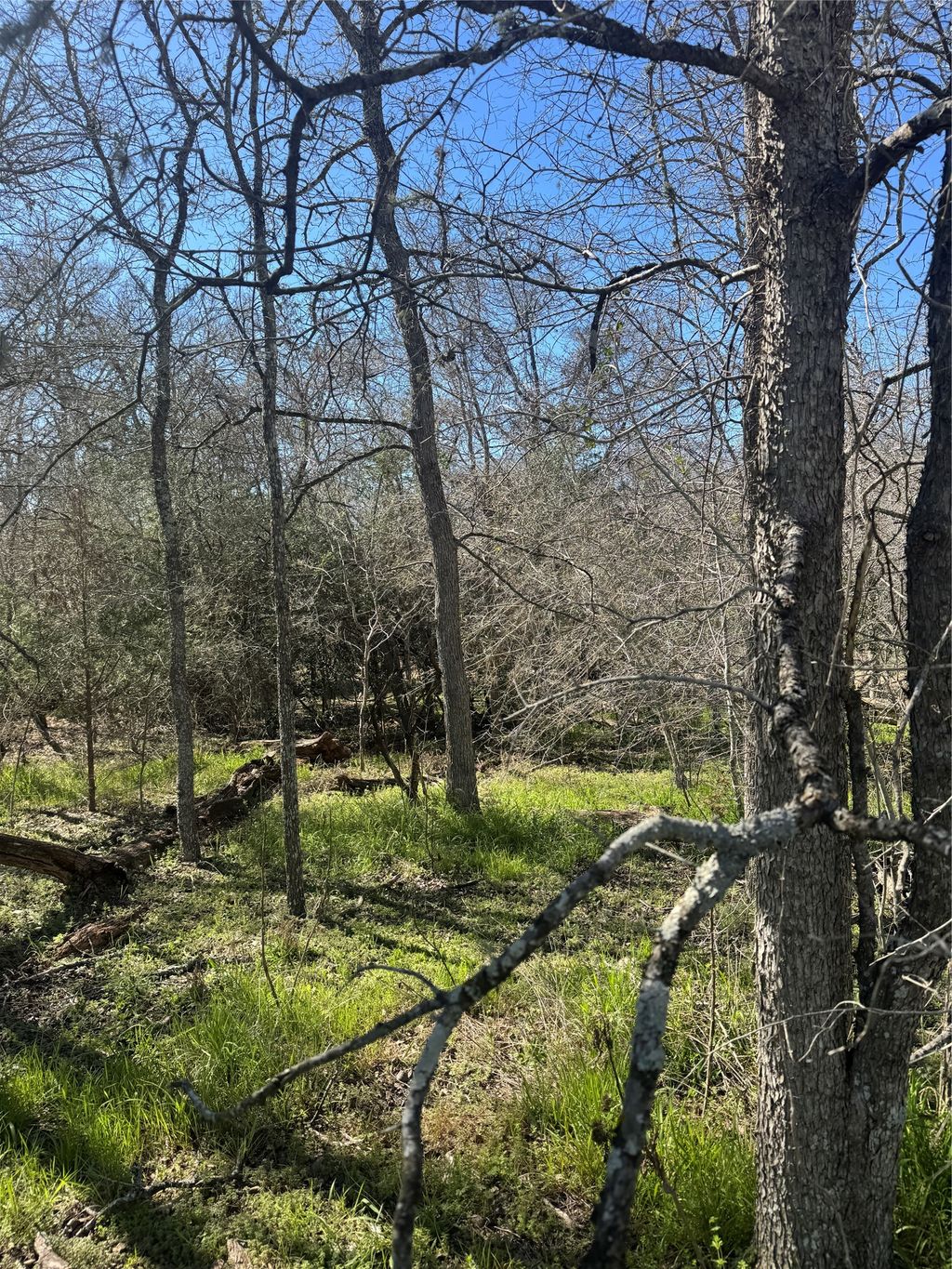 289 Iva Lane, Bastrop