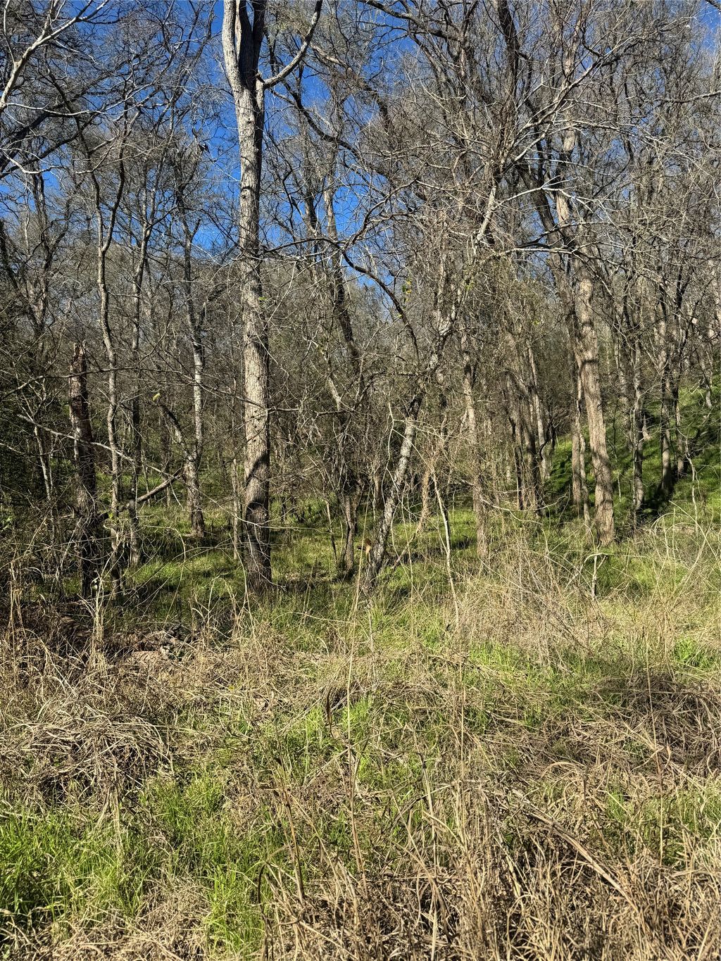 Lots 638. 639. 640 Kaukonahua Lane, Bastrop