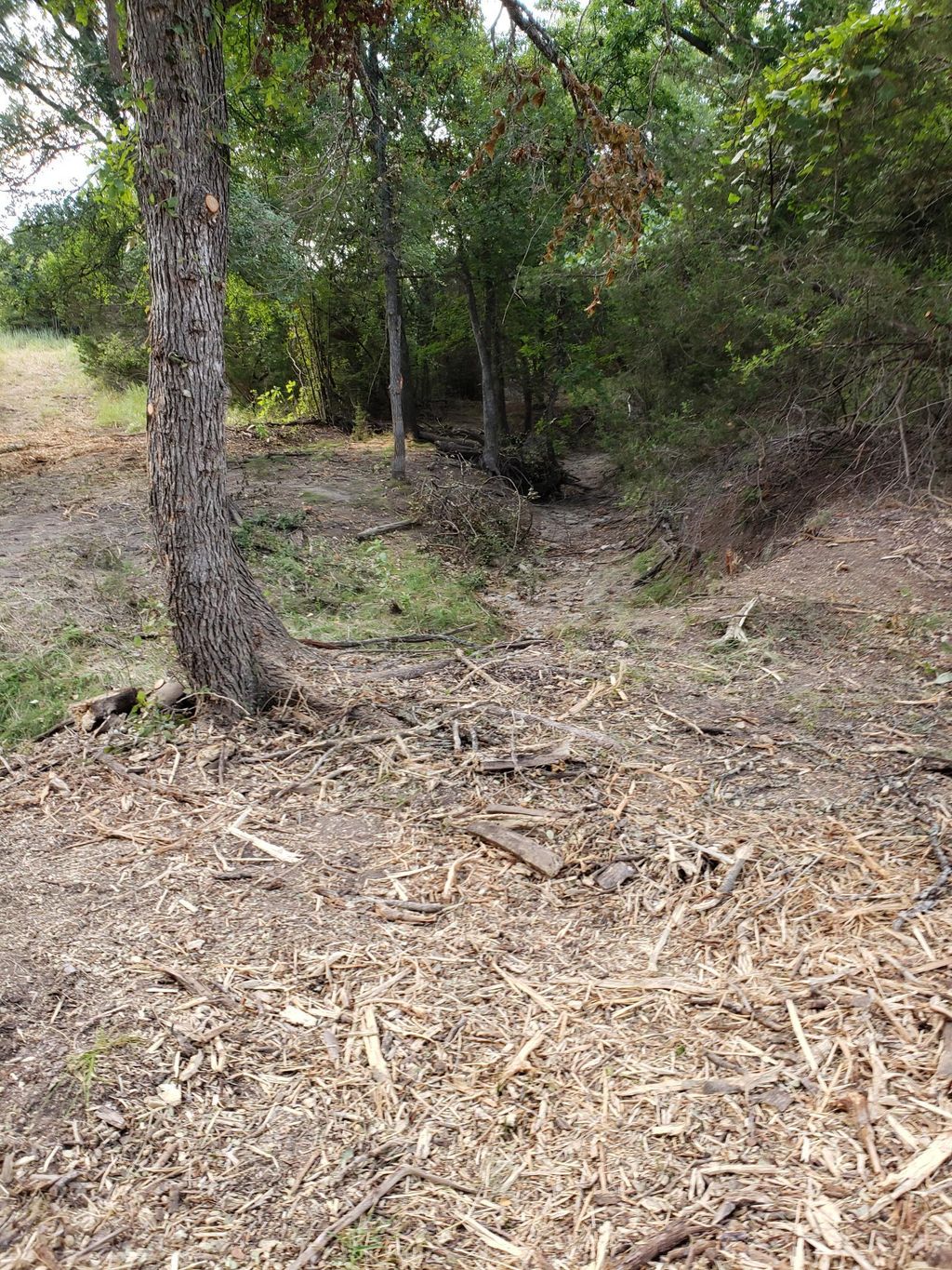 Lot 44 County Road 3640, Lampasas