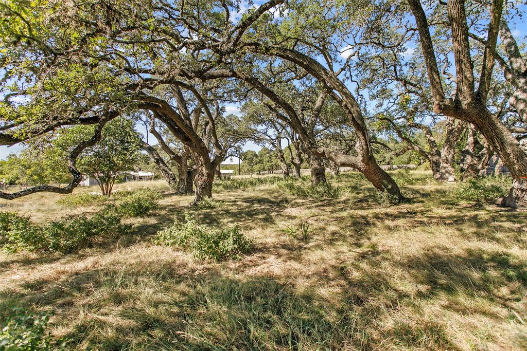 1314 Greenlawn Parkway, Blanco