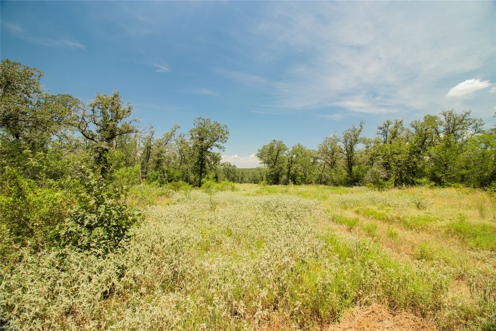 2564 Bluestem Crest Lane, Kingsbury