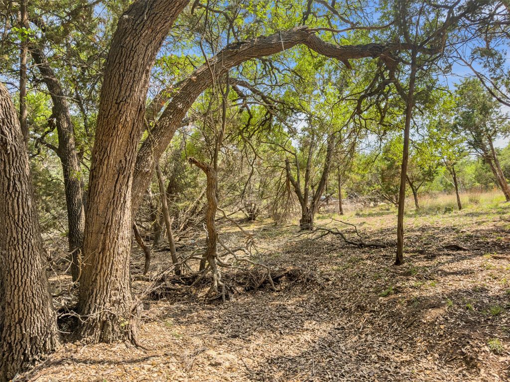 369 Onion Creek Lane, Blanco