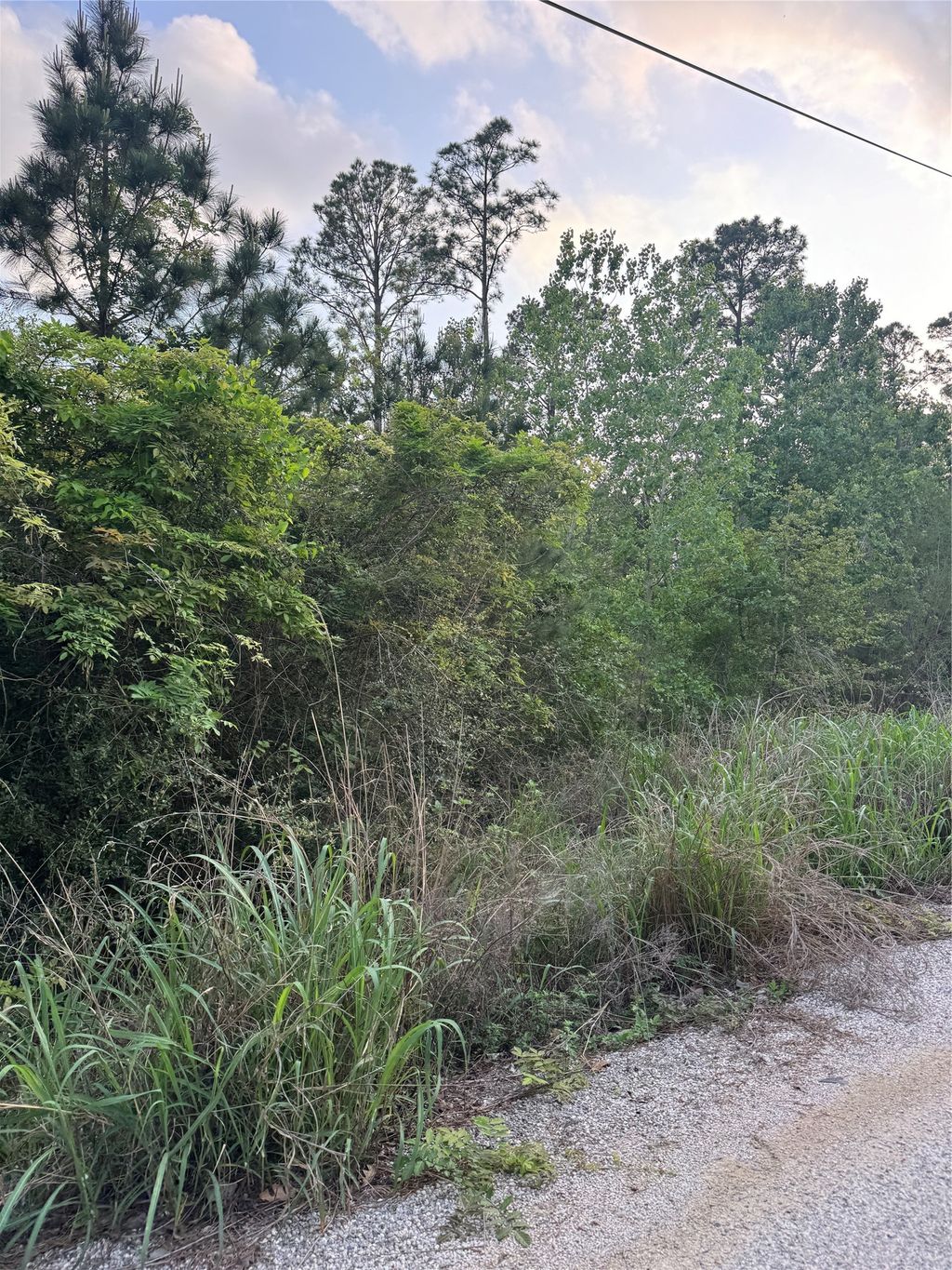 Lot 1386 N Pahihi Drive, Bastrop