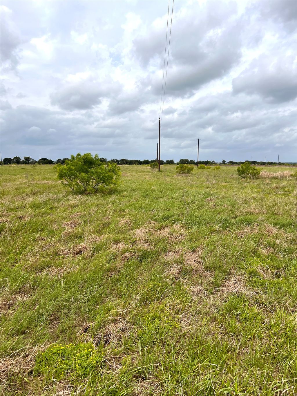 Tbd Lot 2 Fm 112 Roads, Thrall
