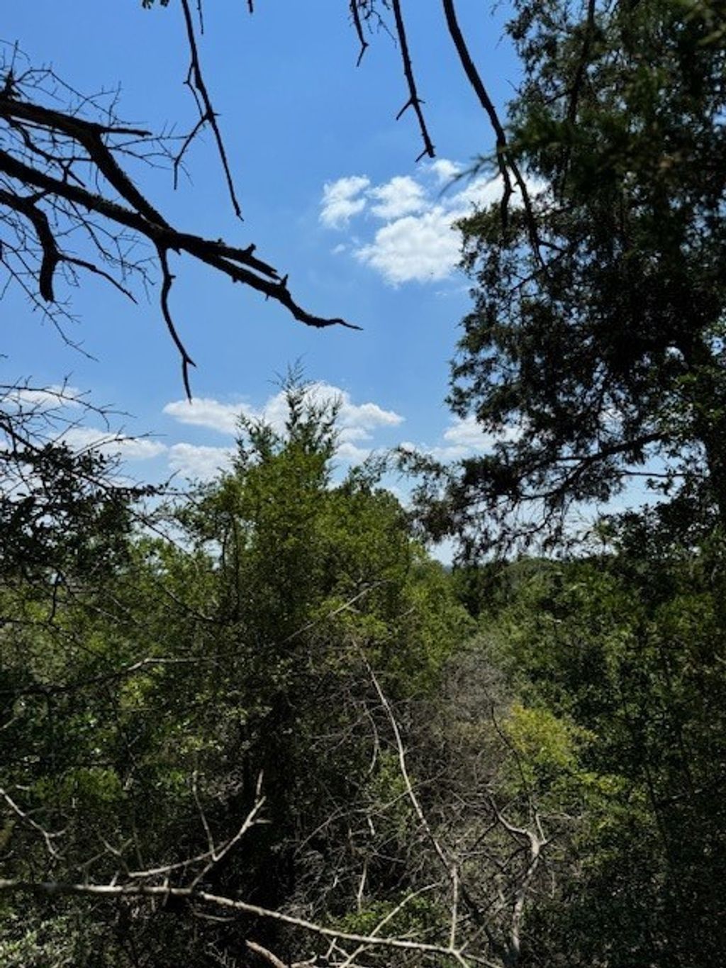 157 Lamaloa Lane, Bastrop