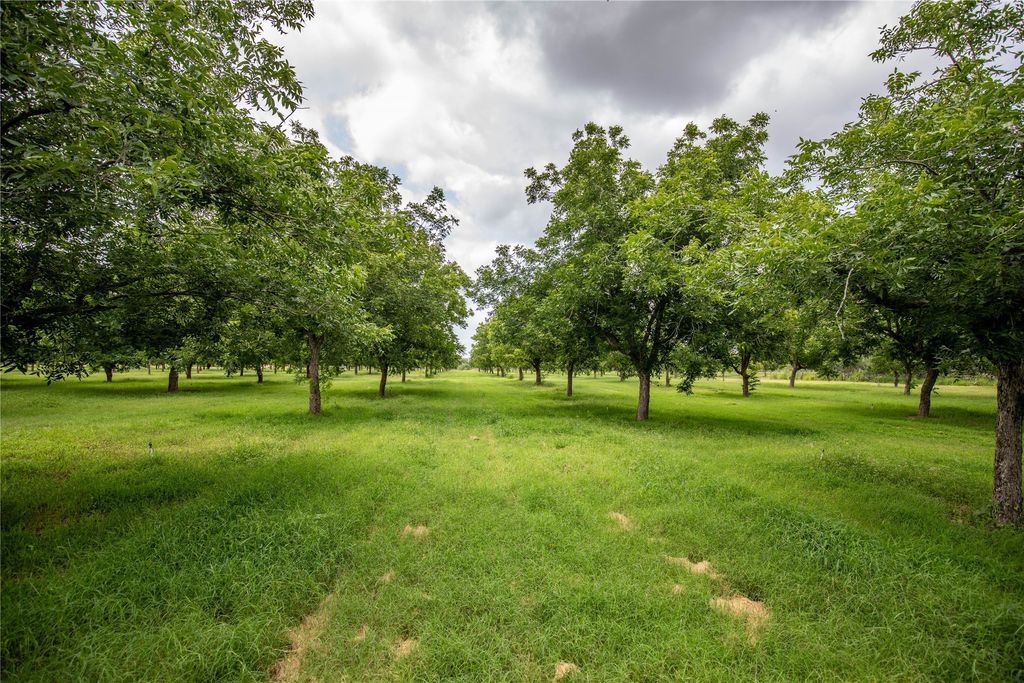 2432 County Road 402 B, Falfurrias