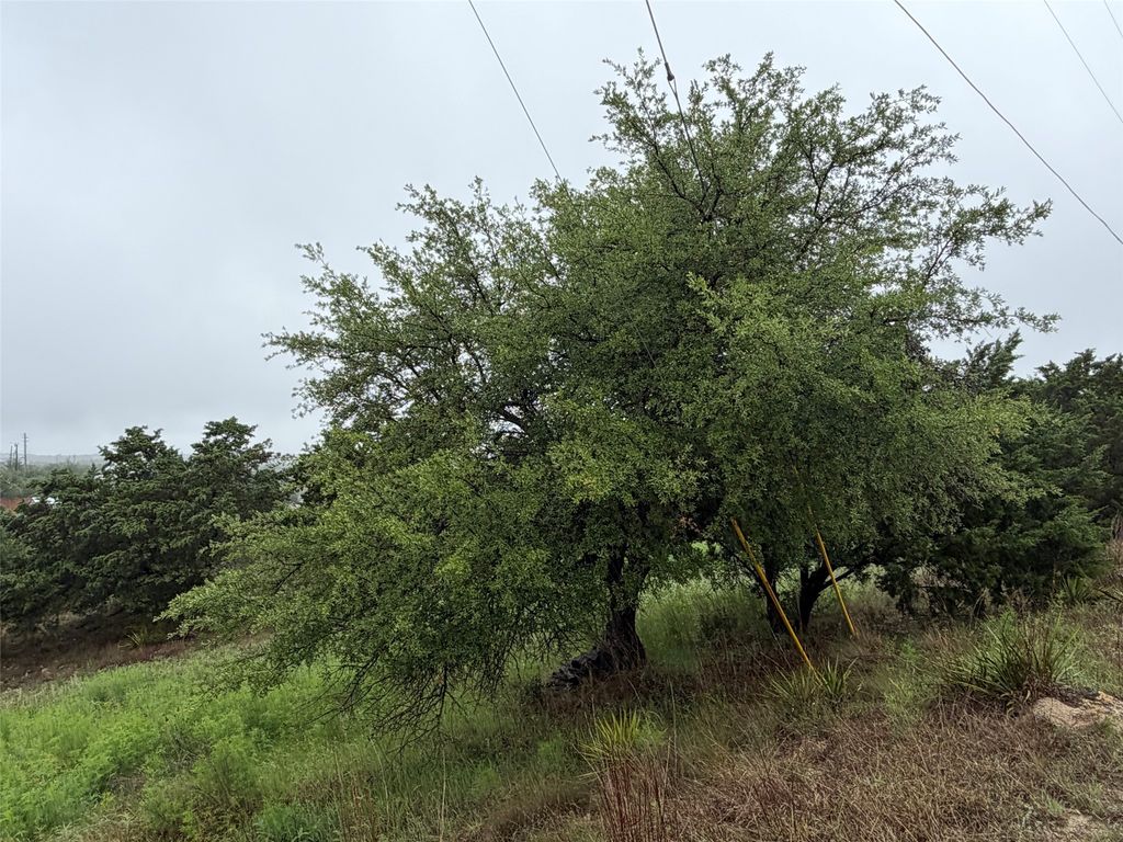 17408 Lake Wood Circle, Dripping Springs