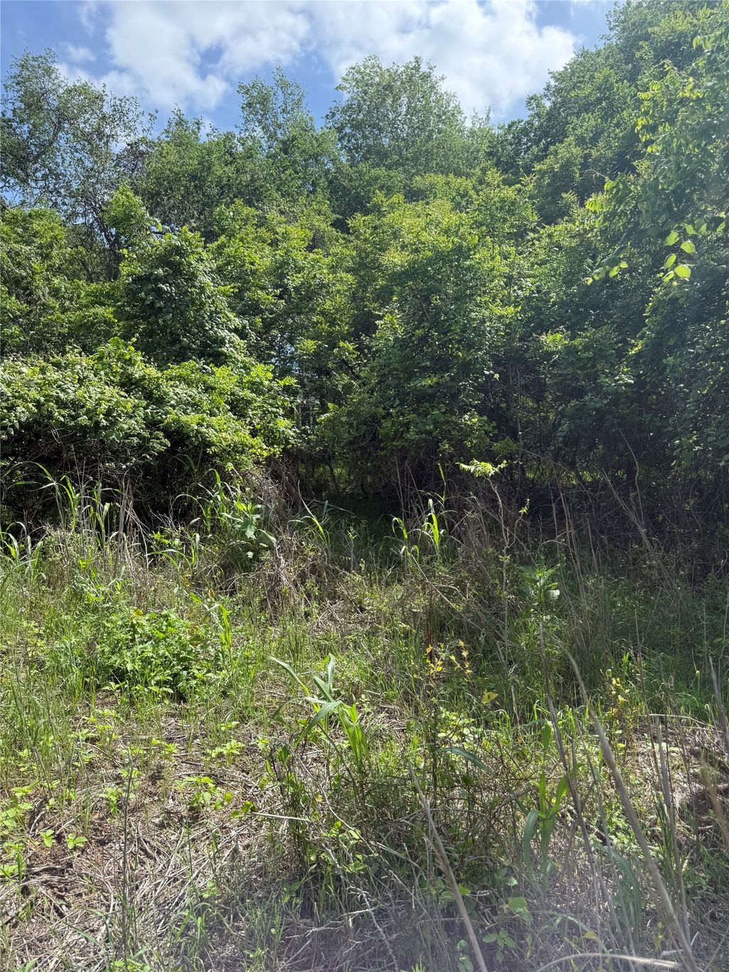 Lot 959 Riverside Drive, Bastrop