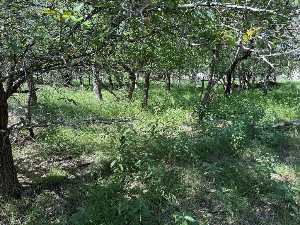 236 Mokulua Lane, Bastrop