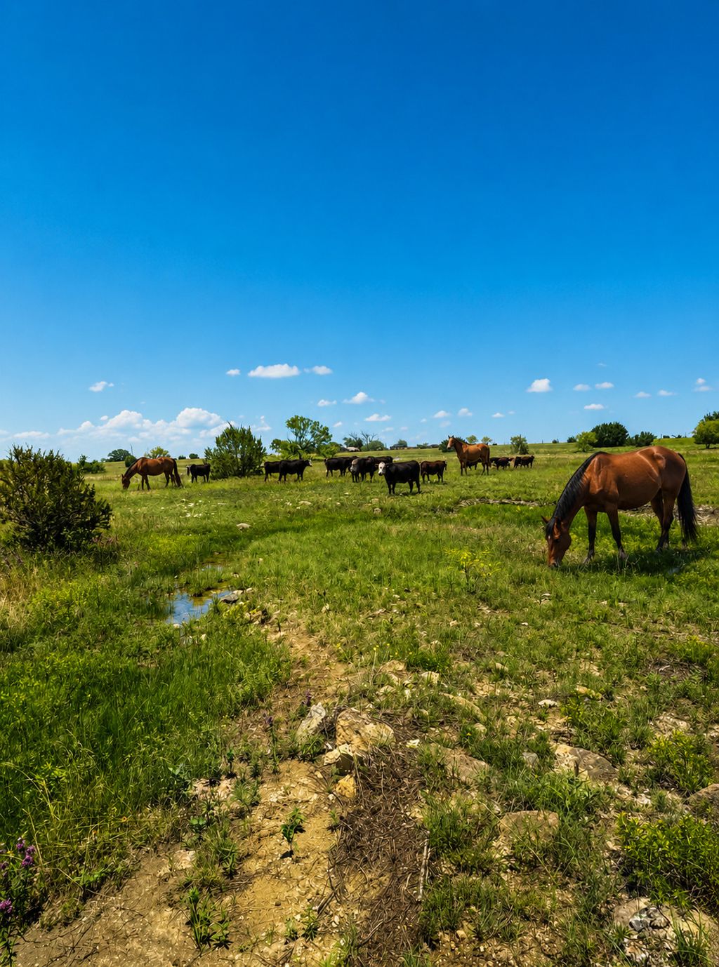 Lot 24 Private Road 4220, Hamilton