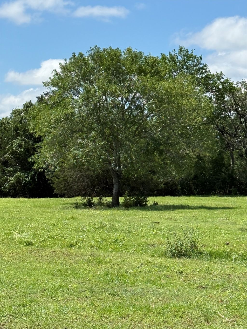 1749 Fm 535, Smithville
