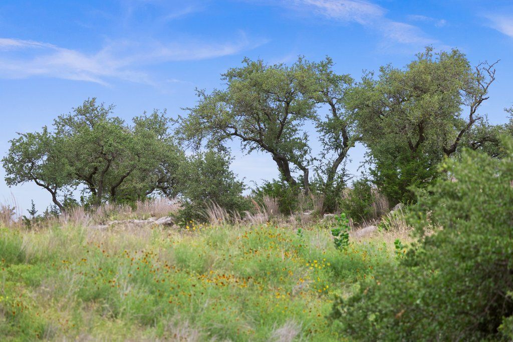 292 N Scenic Hills Court, Blanco