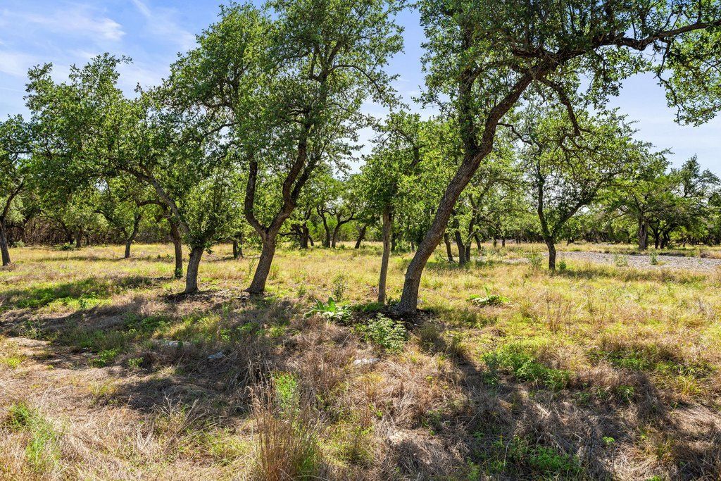300 Stonegate Lane, Dripping Springs