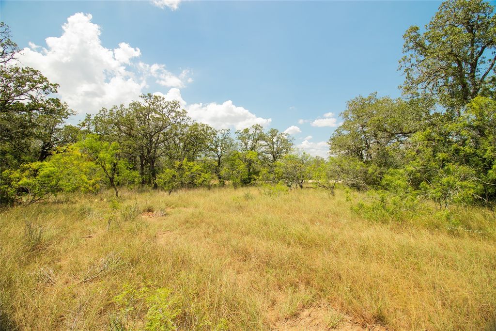 9057 Sycamore Shade Lane, Kingsbury