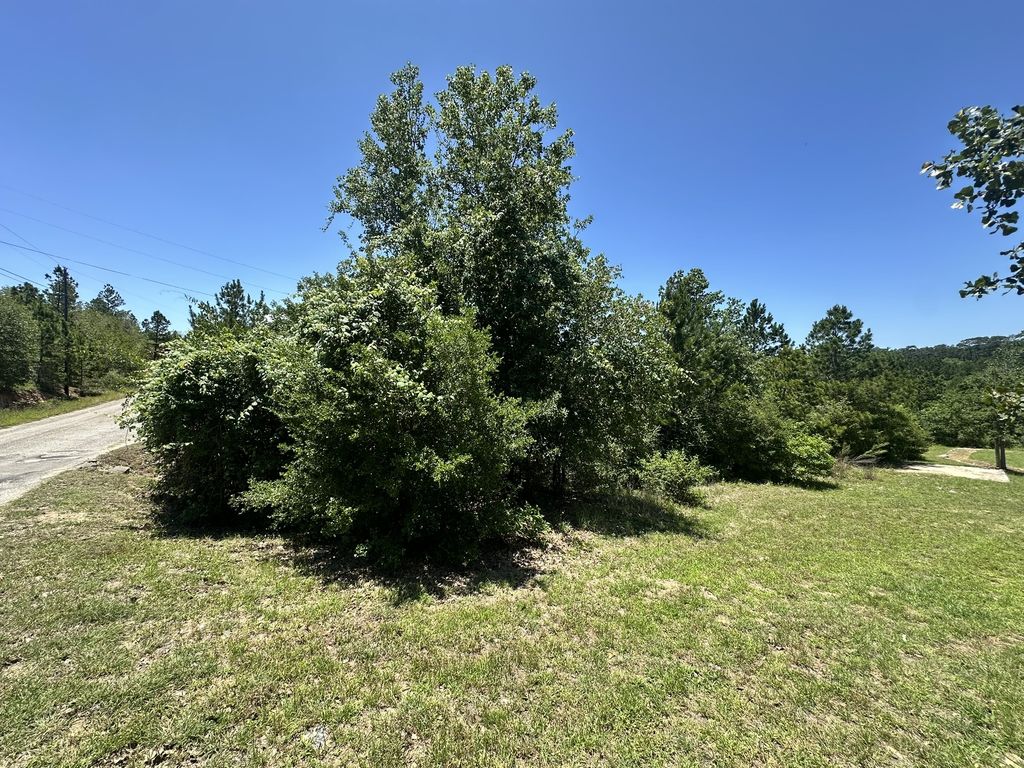 000 Manawianui Drive, Bastrop