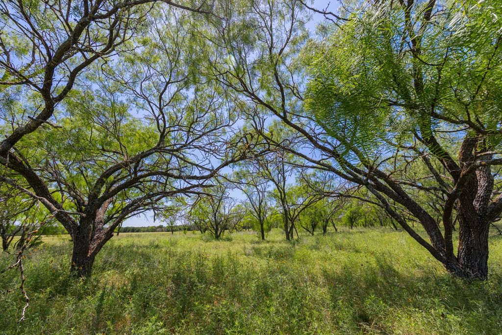 Tbd County Road 180 El Cielo Ranch Road, Purmela