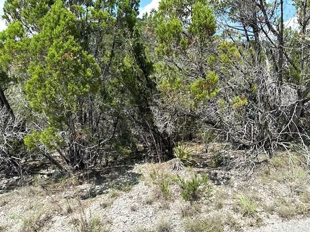 21404 Westward Ho Pass, Lago Vista