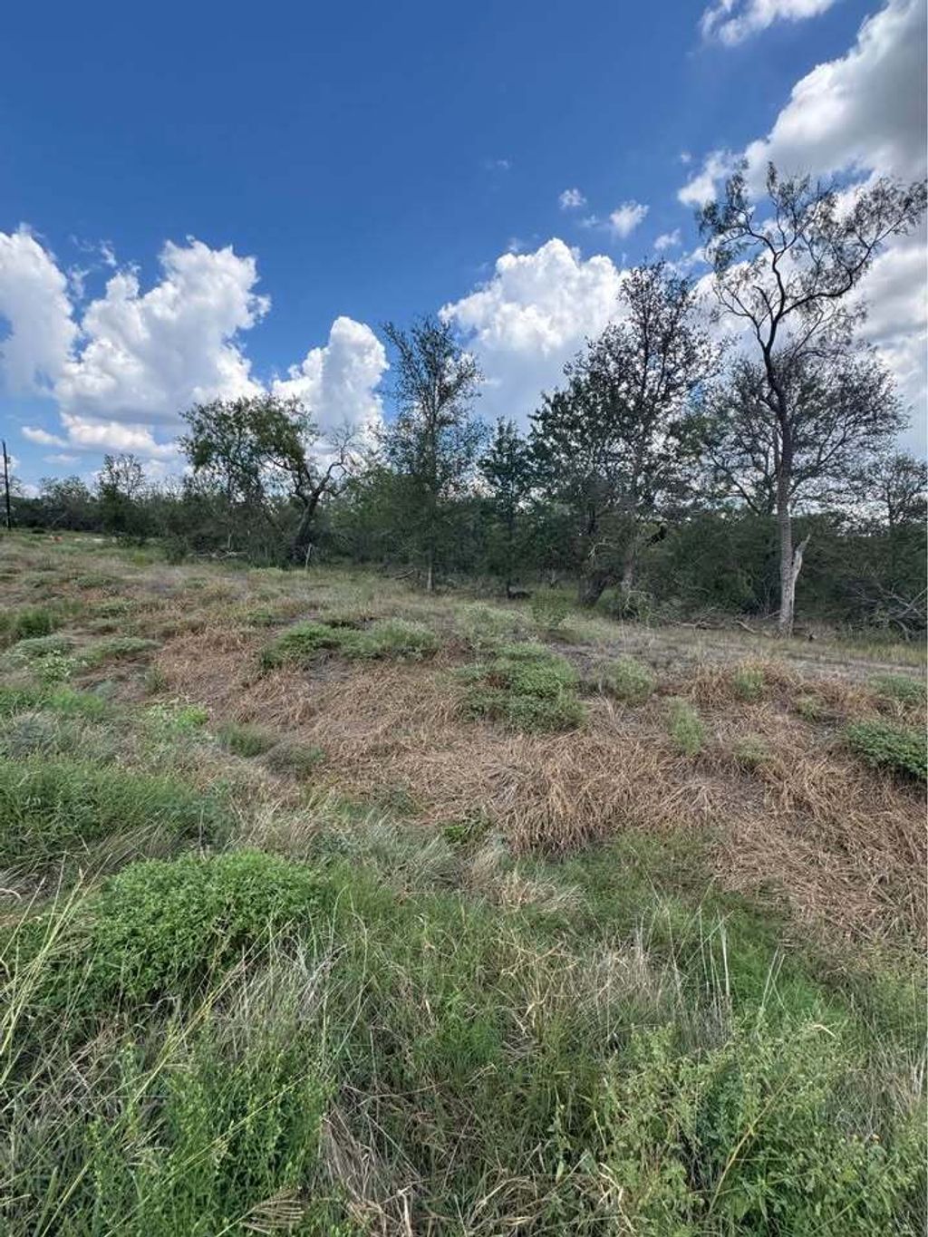 225 Brinley Mae Way, Lockhart