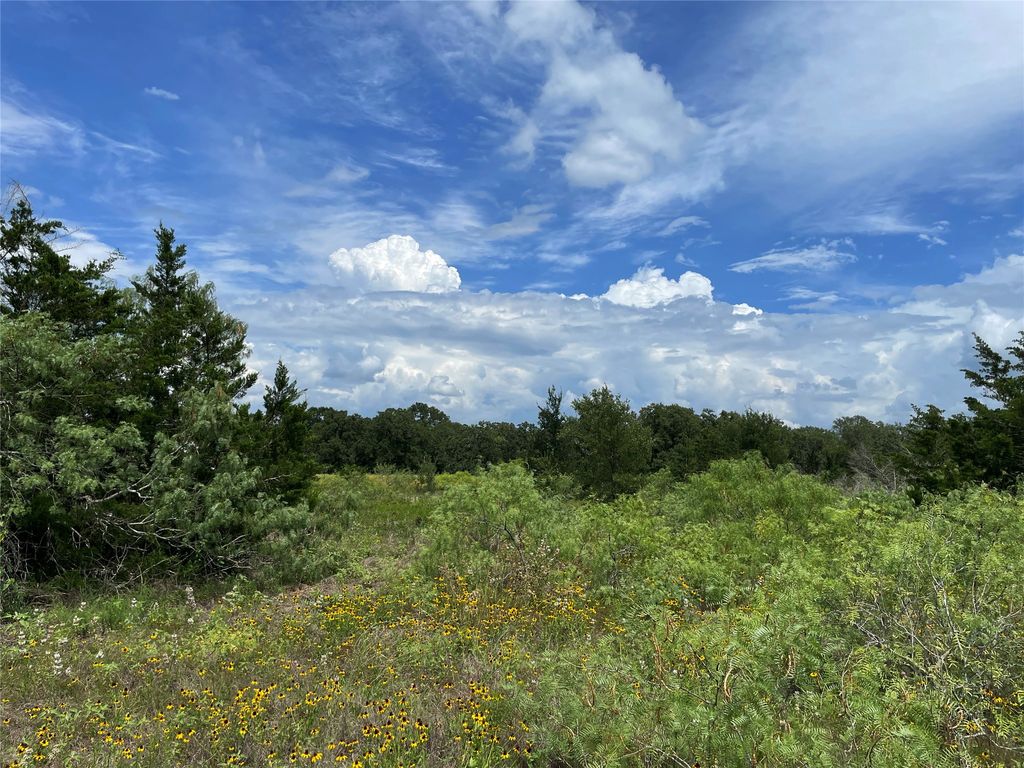 Tbd Fm 141, Giddings