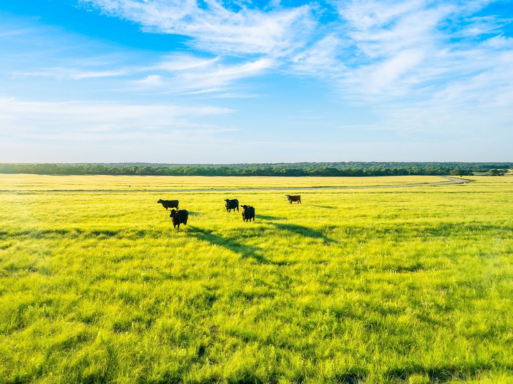 7 Feild Ranch Road, Burnet