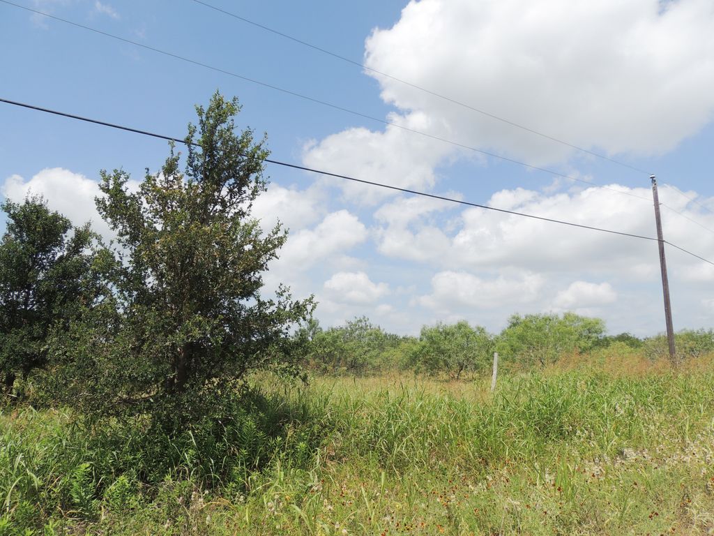 265 Linam Lane, Cedar Creek