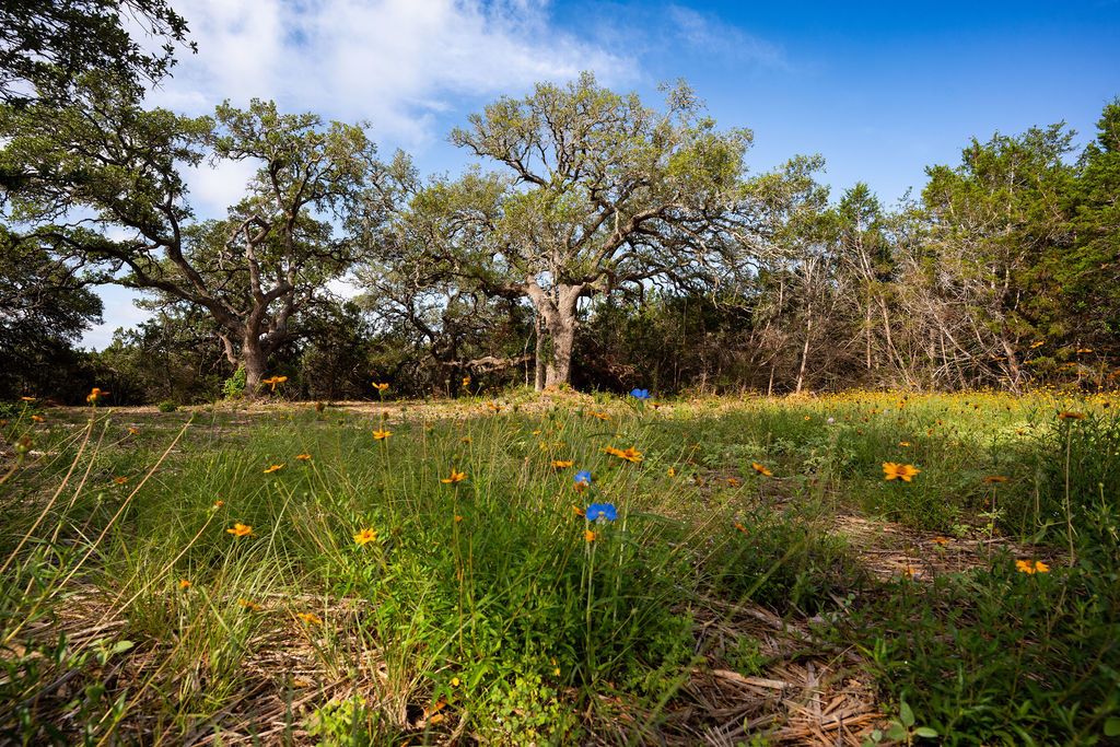 Tbd Gatlin Creek Road, Dripping Springs