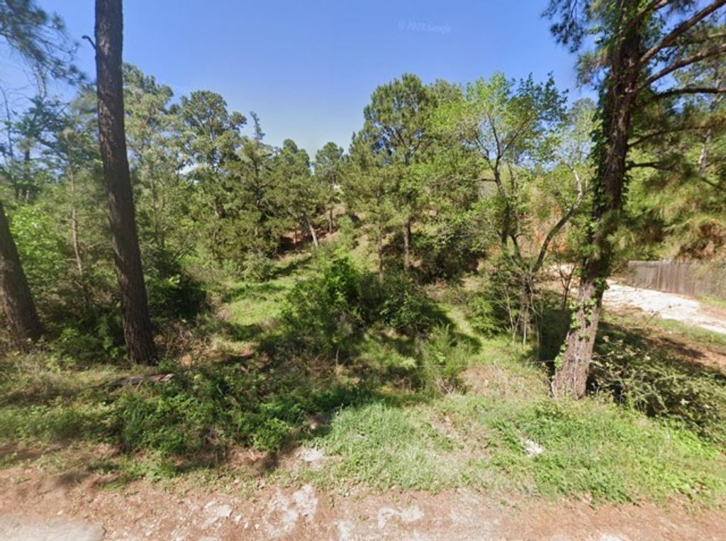 000 Wahane Lane, Bastrop