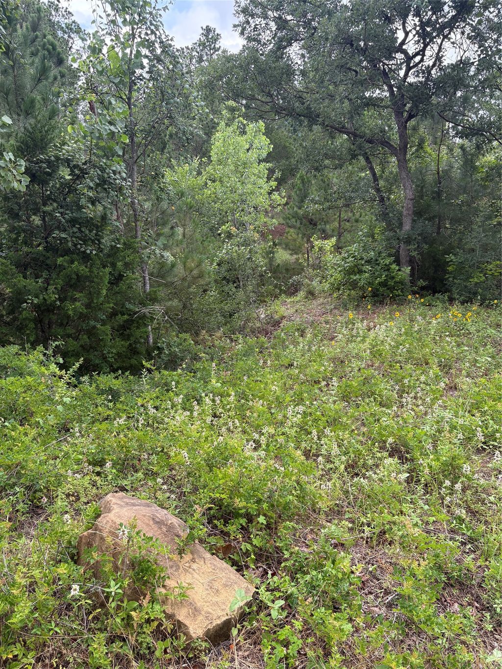 Tbd Kaena Lane, Bastrop